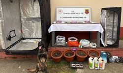 Zonguldak’ta uyuşturucu operasyonları: 8 şüpheli tutuklandı