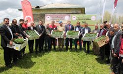 Ağrı'da çiftçilere yüzde 75 hibeli sebze fidesi dağıtıldı