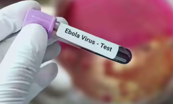 Avrupa'da Ebola salgını alarmı: Önce İtalya şimdi de Avusturya'da karantina kararı