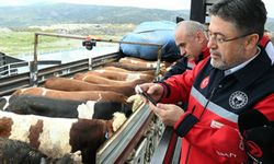 Bakan Yumaklı: Kurbanlık hayvan arzında herhangi bir problem yok