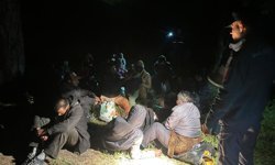 Balıkesir'de 31 düzensiz göçmen yakalandı