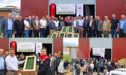 Bingöl'de 570 çiftçiye 330 bin adet sebze fidesi dağıtıldı