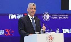 Bolat: Türkiye'nin geleceği 3G'den geçiyor