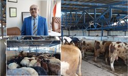 Bursa Kasaplar Odası Başkanı Yıldız: Pazarlarda yeterli sayıda kurbanlık bulunuyor