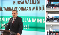 Bursa'da atıl araziler yem üretimine kazandırılıyor