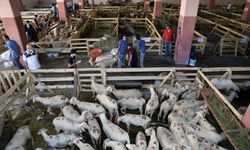 Bursa'da kurban kesim için alınacak tedbirler tamamlandı