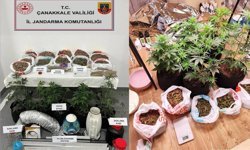 Çanakkale'de skunk operasyonu: 2 şüpheli gözaltında