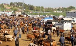 Diyarbakır Hayvan Borsası'nda besicilerin çilesi bitmiyor