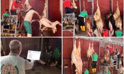 Diyarbakır'da dört yardım kuruluşunun kurban kesimleri başladı