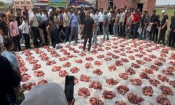 Diyarbakır'da örnek dayanışma geleneği: Kurban etleri mahalledeki tüm hanelere ulaştırılıyor