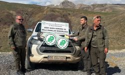 'Doğaya kurt ve ayı salınıyor' iddialarına DKMP'den yalanlama