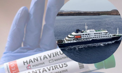 DSÖ'den hantavirüs açıklaması: Küresel salgın riski yok