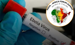 Ebola salgını nedeniyle 4. Hindistan-Afrika Forumu Zirvesi ertelendi