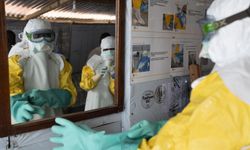 Ebola'nın küresel olarak yayılabilir mi?