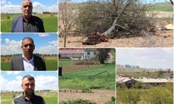 Fırtınadan etkilenen Gaziantepli çiftçiler destek bekliyor
