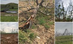 Gaziantep Kent Konseyi'nden afet sonrası çiftçilere destek çağrısı