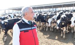 Gaziantep'te Kurban Bayramı öncesi denetimler artırıldı