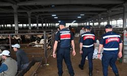 Gaziantep'te kurban satış yerlerinde drone destekli güvenlik önlemi