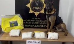 Hatay'da 420 kilogram sentetik kannabinoid ham maddesi ele geçirildi