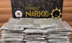 İstanbul Kartal'da narkotik operasyonu: 58 kilo skunk ele geçirildi