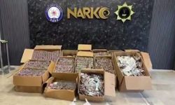 İstanbul'da narkotik operasyonu: 560 bin sentetik ecza hap ele geçirildi