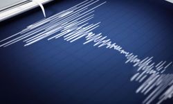 Karadeniz'de 3,9 büyüklüğünde deprem