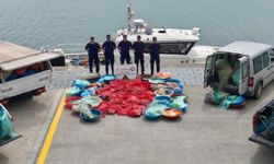 Karadeniz'de yasa dışı kalkan balığı avına ceza: 2 gemiye 1,9 milyon TL yaptırım