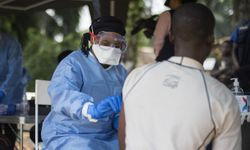 Kongo'da 900'den fazla şüpheli Ebola vakası bildirildi
