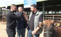 Kurban Bayramı yaklaştı, hayvan pazarlarında renkli görüntüler oluştu