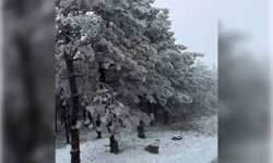 Manisa'da kar yağışı etkili oldu