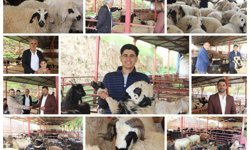 Mardinli kurbanlık satıcıları: Küçükbaşta bolluk var ancak üretim az