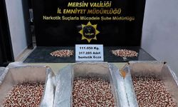 Mersin'de 317 bin 285 adet uyuşturucu hap ele geçirildi