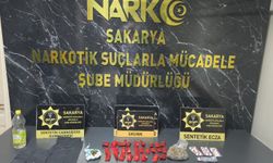 Sakarya'da 61 kilogram bonzai hammaddesi ele geçirildi: 1 tutuklama