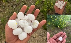 Şanlıurfa'da dolu yağışı fıstık bahçelerine zarar verdi