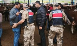 Şanlıurfa'da hayvan pazarlarında Kurban Bayramı tedbirleri artırıldı