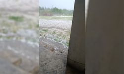 Şanlıurfa'da sağanak ve dolu yağışı tarım arazilerine zarar verdi