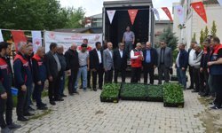 Siirt'te 70 bin sebze fidesi çiftçilere dağıtıldı