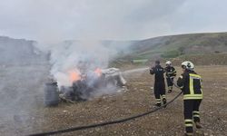 Siirt'te arı kovanlarında çıkan yangın maddi zarara yol açtı