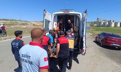 Siirt'te iki aracın çarpıştığı kazada 6 kişi yaralandı