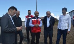 Siirt'te 'Kırsalda Bereket' projesi sahada sonuç vermeye başladı