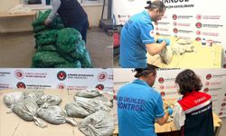 Sınır kapılarında kaçak su ürünü operasyonu: 760 kg midye ve 21 kg sülük ele geçirildi