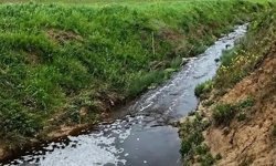 Sinop'taki katı atık tesisine 1,6 milyon lira ceza uygulandı