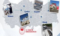 Tarım ve Orman Bakanlığı: Hayvan sevkiyatlarında denetimler aralıksız sürüyor
