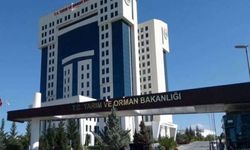 Tarım ve Orman Bakanlığı'ndan 'yapay et' iddialarına açıklama