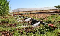 Tarımsal destekleme ödemeleri çiftçilerin hesaplarına aktarılıyor 