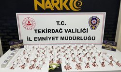 Tekirdağ'da uyuşturucu operasyonları: 133 kişiye işlem yapıldı