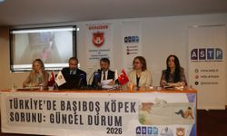 'Türkiye'de Başıboş Köpek Sorunu' panelinde güncel durum ele alındı