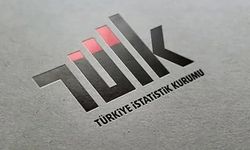 2024 Enerji Hesapları açıklandı: Toplam enerji akışı 20 bin 164 petajul oldu