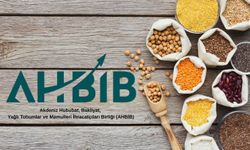 AHBİB mayıs ayında 151,3 milyon dolarlık ihracat gerçekleştirdi