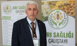 Ankara'da Arı Sağlığı Çalıştayı düzenlendi